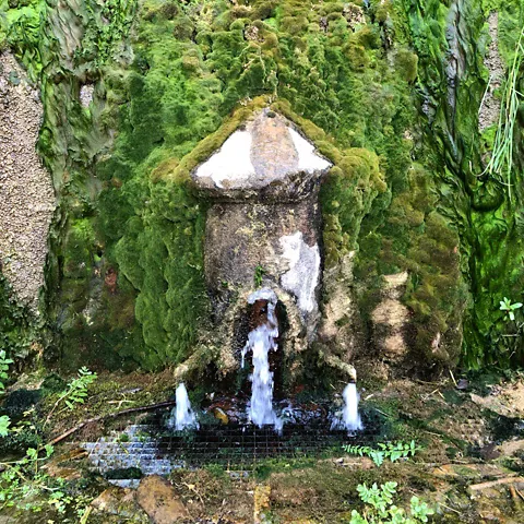 Fuente de piedra con musgo y agua brotando