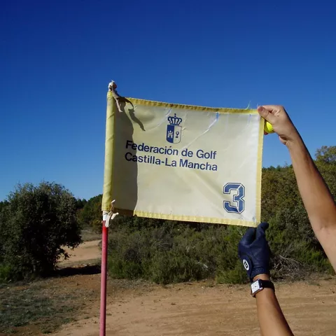 Detalle de bandera en campo natural
