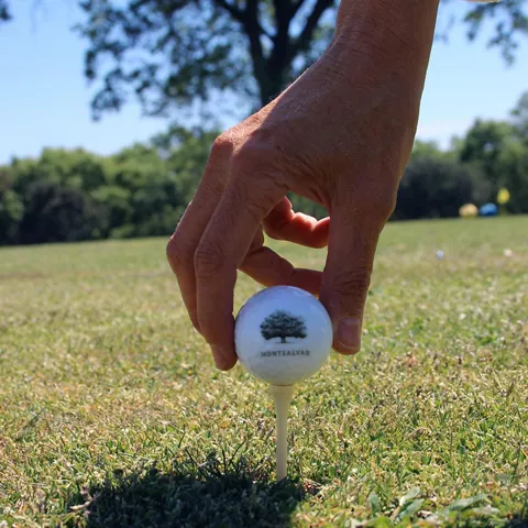 Mano colocando la bola en el tee