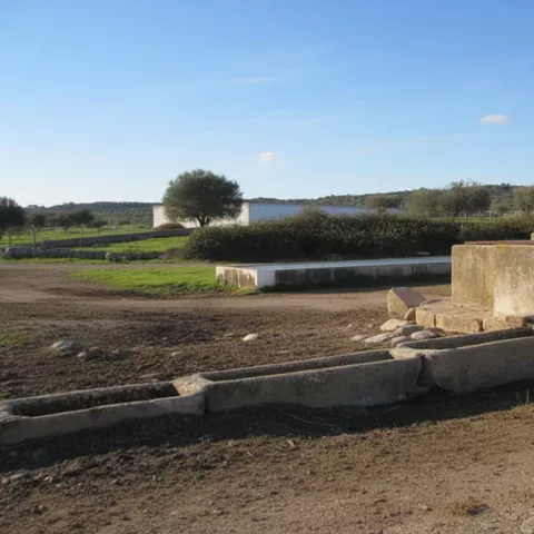 Abrevadero de piedra en entorno rural