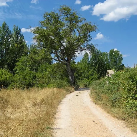 Río de montaña entre grandes rocas.