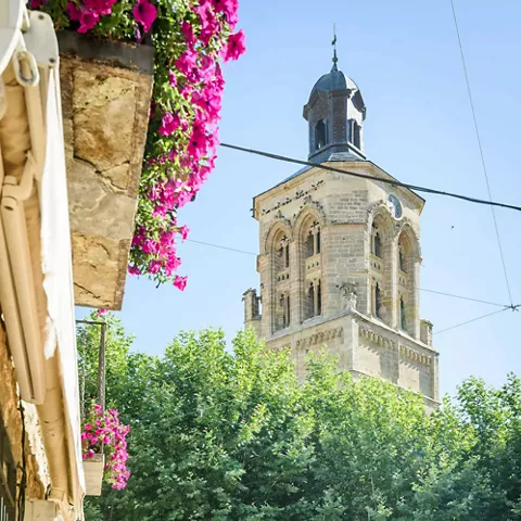 Torre campanario sobre árboles frondosos y plaza con fuente cercada.
