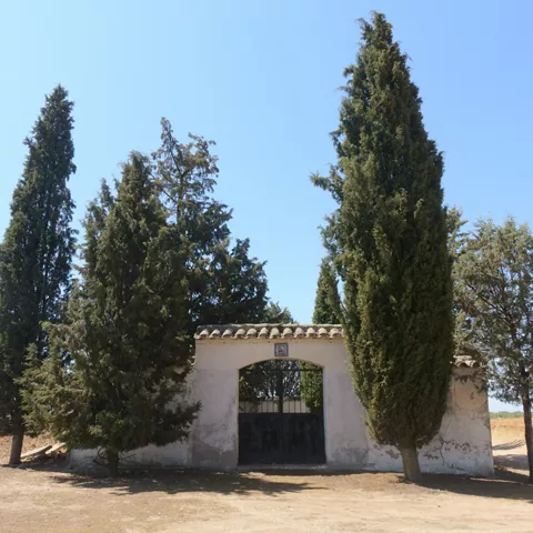 Entrada de cementerio rural entre cipreses altos