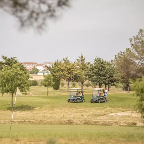 Carritos de golf en zona ajardinada
