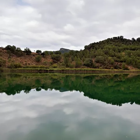 Agua tranquila con reflejo del bosque.