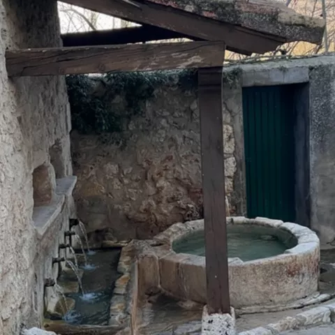Fuente y pila de piedra bajo pequeño tejado.