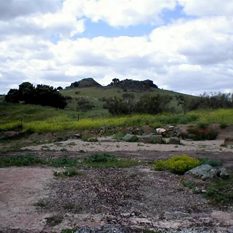 Sendero pedregoso con lomas verdes y matorral bajo cielo nuboso