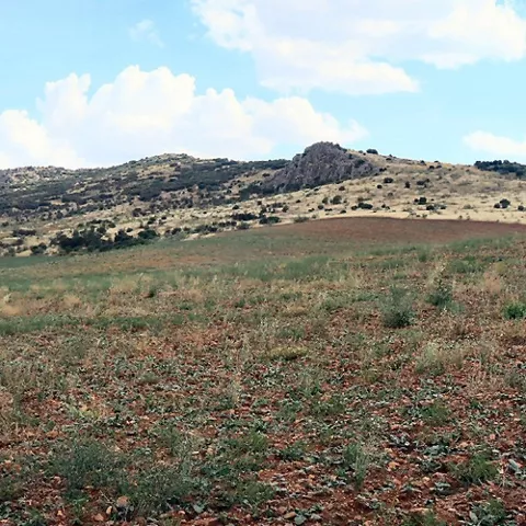 Colinas pedregosas con vegetación dispersa en paisaje abierto.