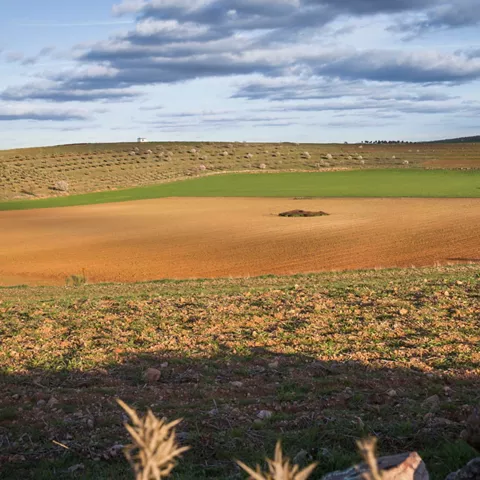 Extenso campo de cultivo rodeado de suaves colinas