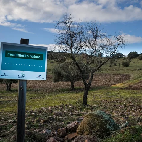 Cartel informativo en terreno con árboles en otoño