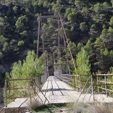 Puente metálico estrecho entre pinos, visto en perspectiva hacia la estructura central.