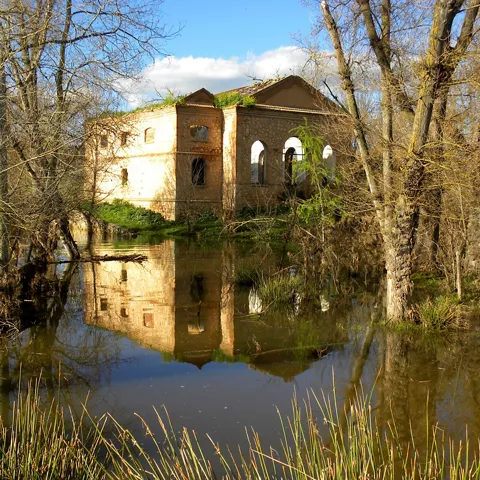 Edificio abandonado junto a un río rodeado de árboles.