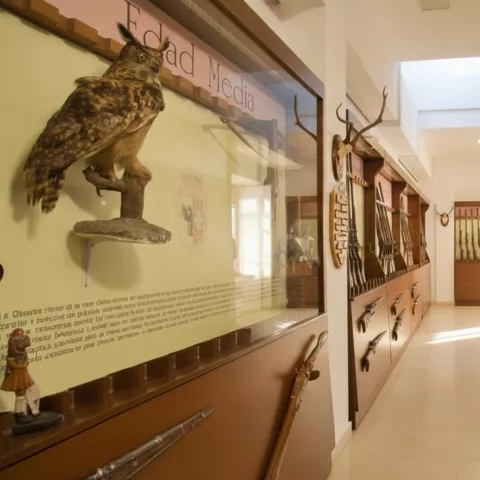 Pasillo de museo con vitrinas de armas antiguas, trofeos y paneles informativos en las paredes.