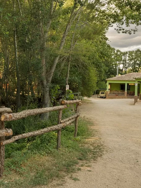 Zona arbolada y área recreativa en Peñascosa con sendero y edificio rural junto al bosque.