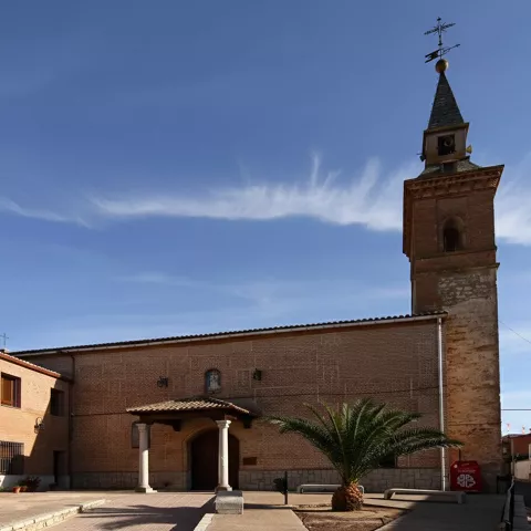 Iglesia de ladrillo con torre alta y palmera en la entrada