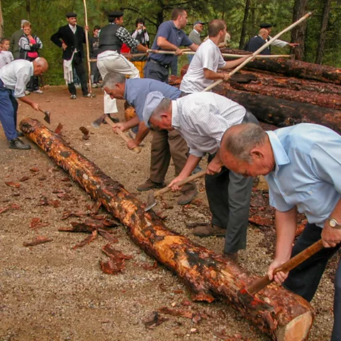 Trabajo tradicional descortezando troncos.