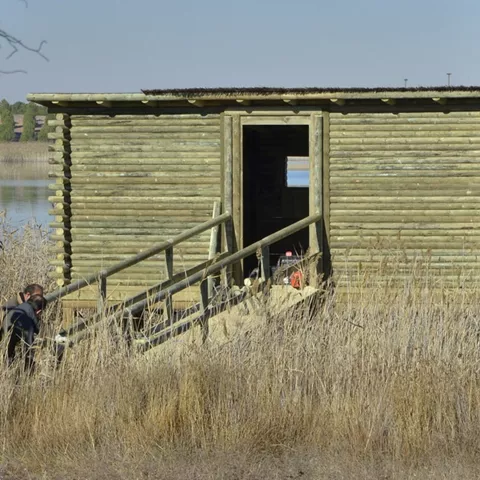 Observatorio de aves de madera entre juncos junto al agua.
