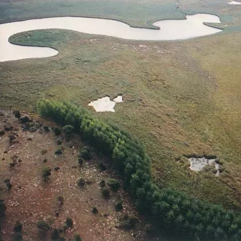 Laguna poco profunda rodeada de vegetación y zonas encharcadas.