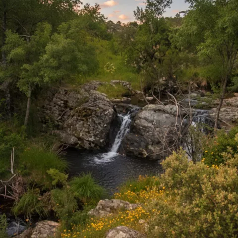 Pequeña cascada en un arroyo rodeado de vegetación y flores amarillas.
