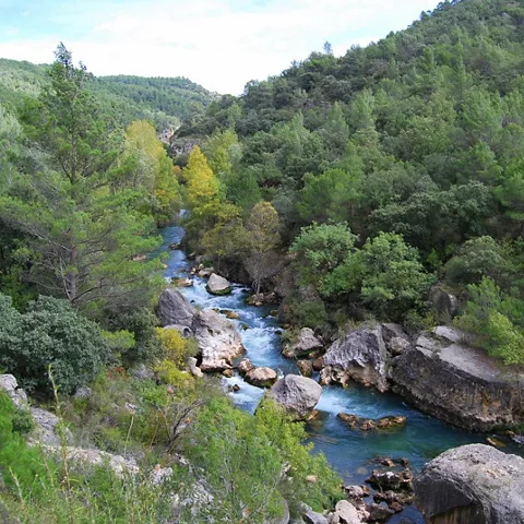 Valle del río en el Alto Tajo.