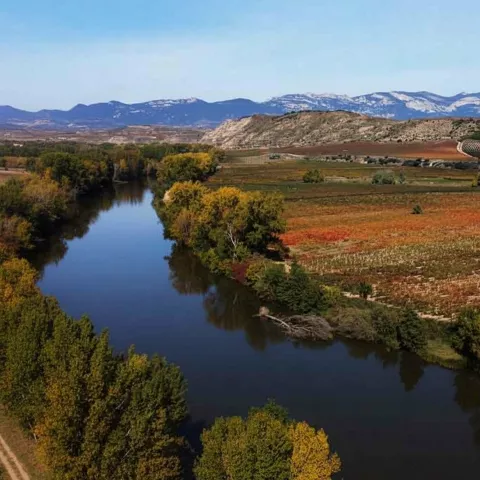 Río entre campos de cultivo.