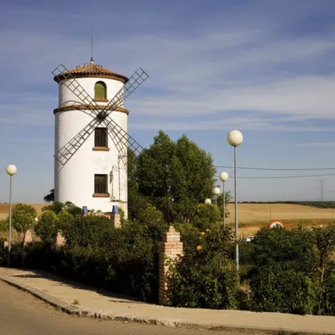 Molino de viento tradicional de paredes blancas y aspas de madera situado junto a una carretera en un entorno agrícola.