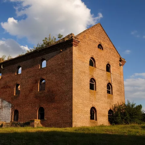 Ruinas de un gran edificio industrial de ladrillo visto con múltiples filas de ventanas arqueadas, sin tejado y rodeado de vegetación.