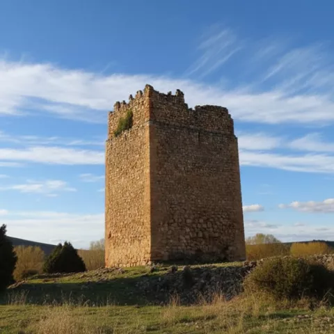Torre de piedra medieval aislada en paisaje rural