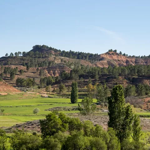 Valle con pinares y formaciones rocosas