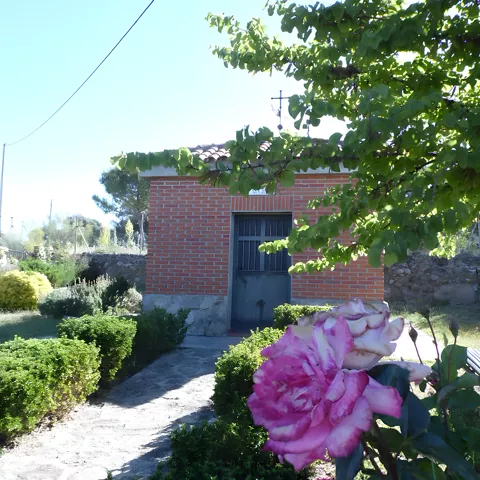 Caseta de ladrillo entre setos y rosas en flor
