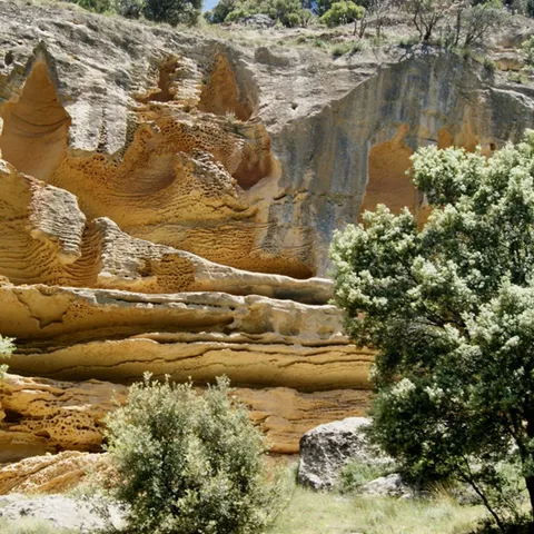 Pared rocosa erosionada con formas onduladas y árboles alrededor