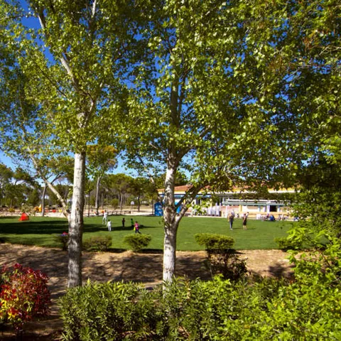 Zona ajardinada con árboles frondosos, pradera verde y personas al aire libre