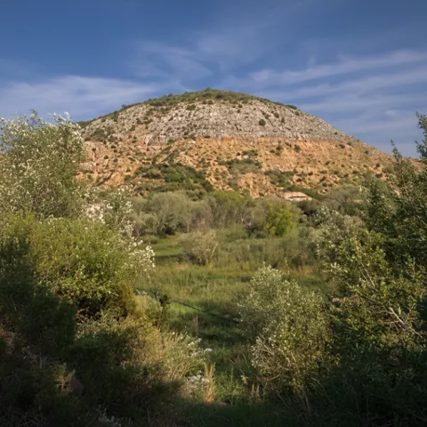 Detalle de la microrreserva Cuerda de la Melera