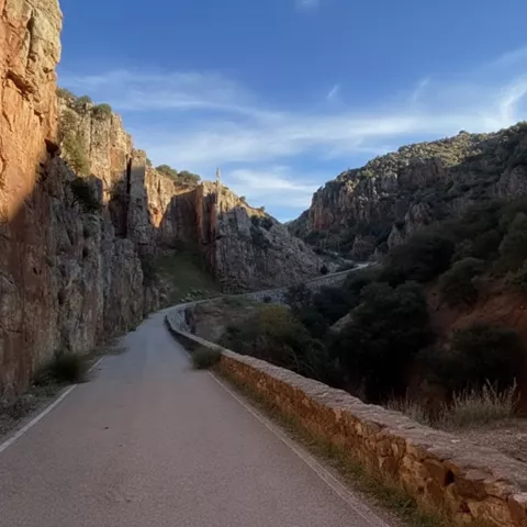 Camino en la Microrreserva Estrecho del Hocino