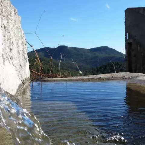 Detalle de la microrreserva Peñas Coloradas