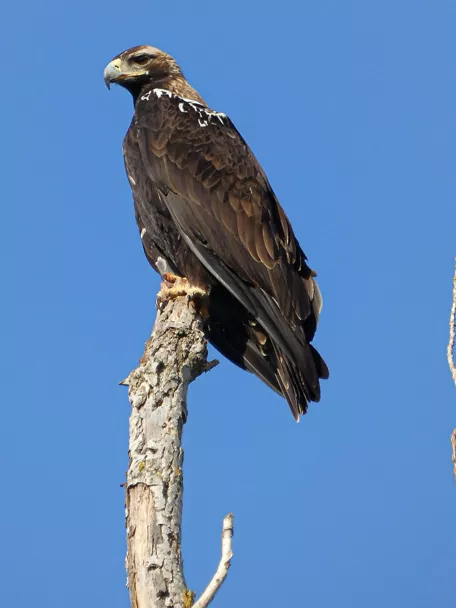 Terrileza en Terrinches, Ciudad Real