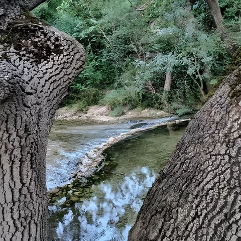 Los Alejos en Molinicos, Albacete