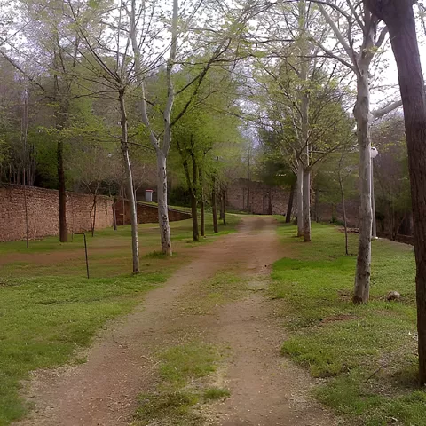 Parcelas del Camping Los Mollinos