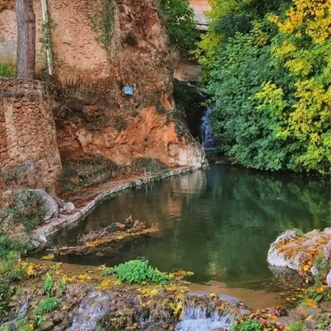 Detalle del Charco de las Canales de Letur