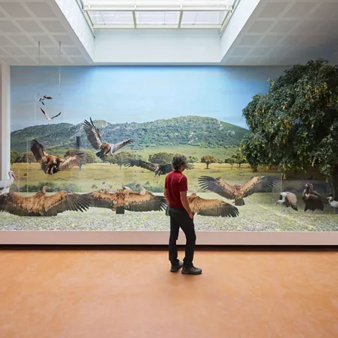 Centro de visitantes del Parque Nacional de Cabañeros en Horcajo de los Montes