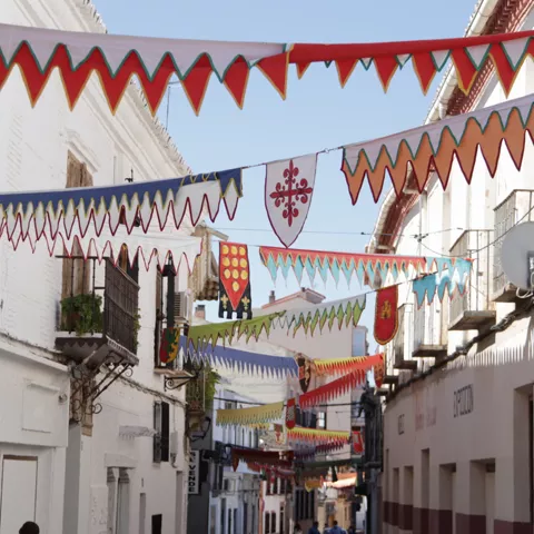 Decoración medieval de Manzanares
