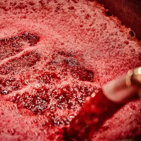 Elaboración del Vino de Pago Dehesa del Carrizal