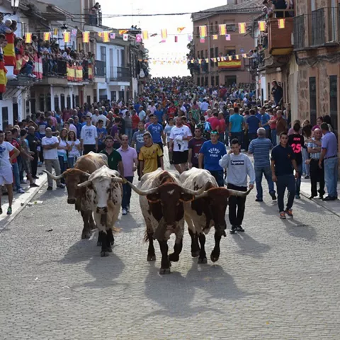 Festejos taurinos en Villamanrique