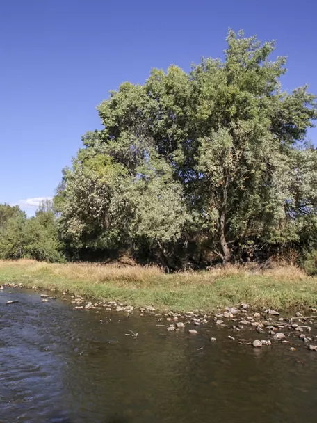 Estrecho de las Hoces en Puebla de Don Rodrigo, Ciudad Real