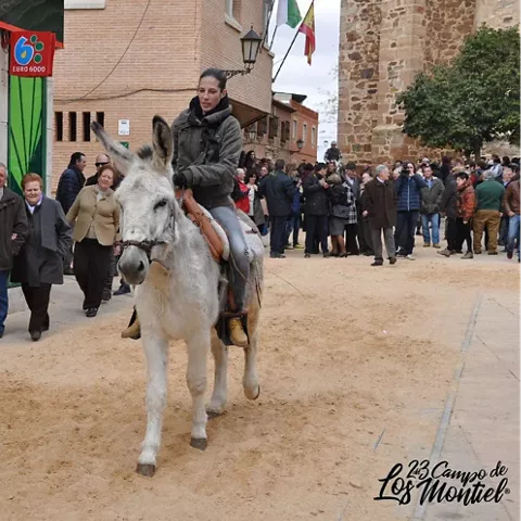 Celebración de La Borricá de Torrenueva