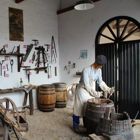 Sala del Museo del Vino de Valdepeñas