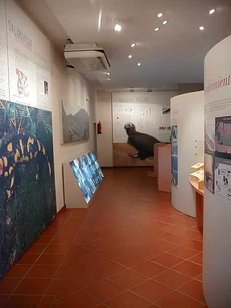 Sala del Museo de la Fauna de Retuerta del Bullaque