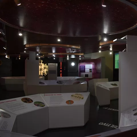 Fondos del Museo Torre del Vino de Socuéllamos