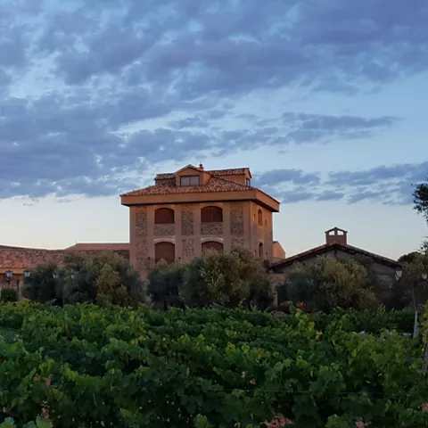 Pago Casa del Blanco, Manzanares