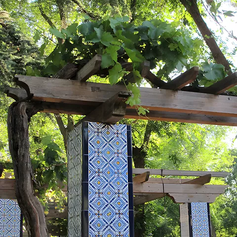 Vegetación en el Parque Gasset de Ciudad Real